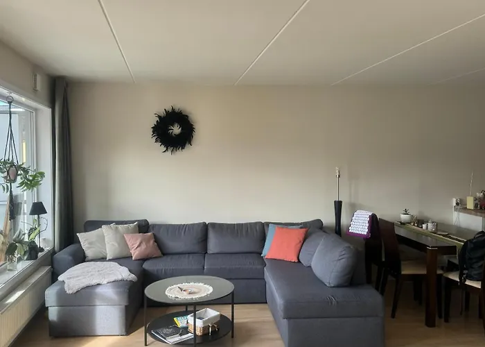 Oslo Vibe
